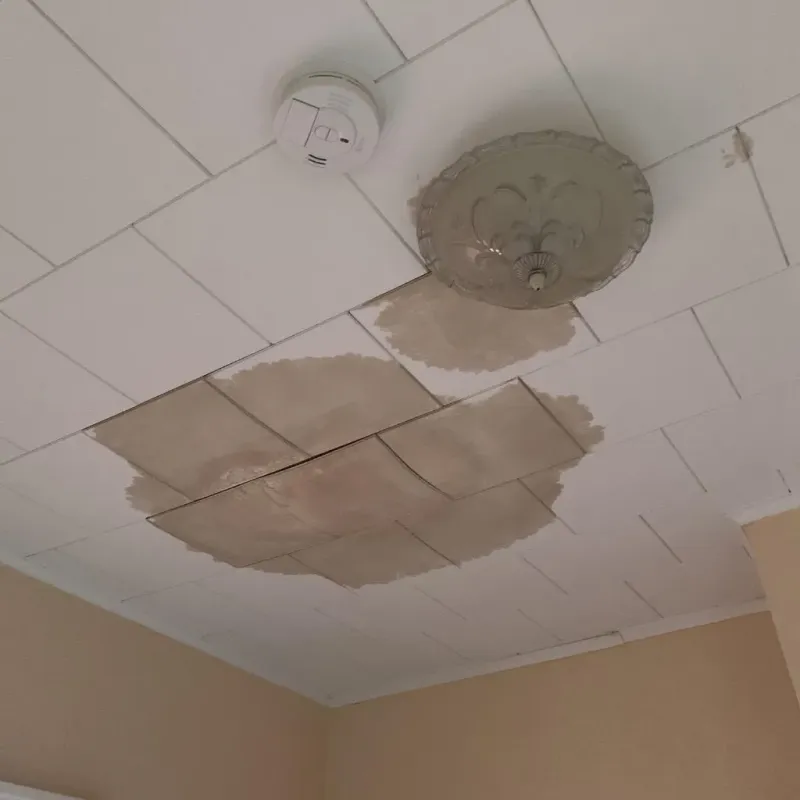 Ceiling Water Damage Repair in Midway, TN