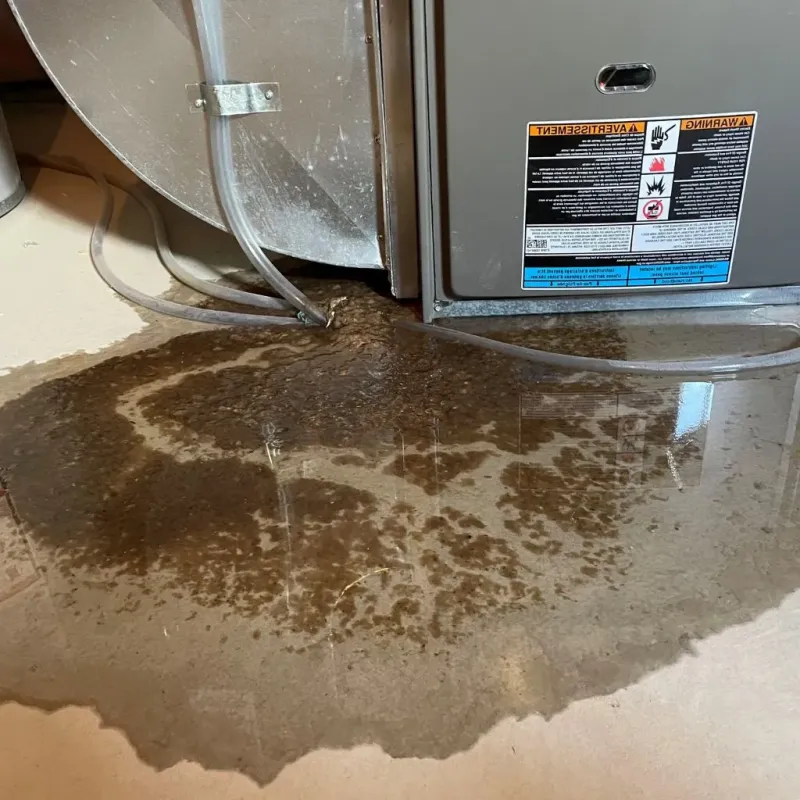 Pipe Burst and Leak Restoration in Midway, TN