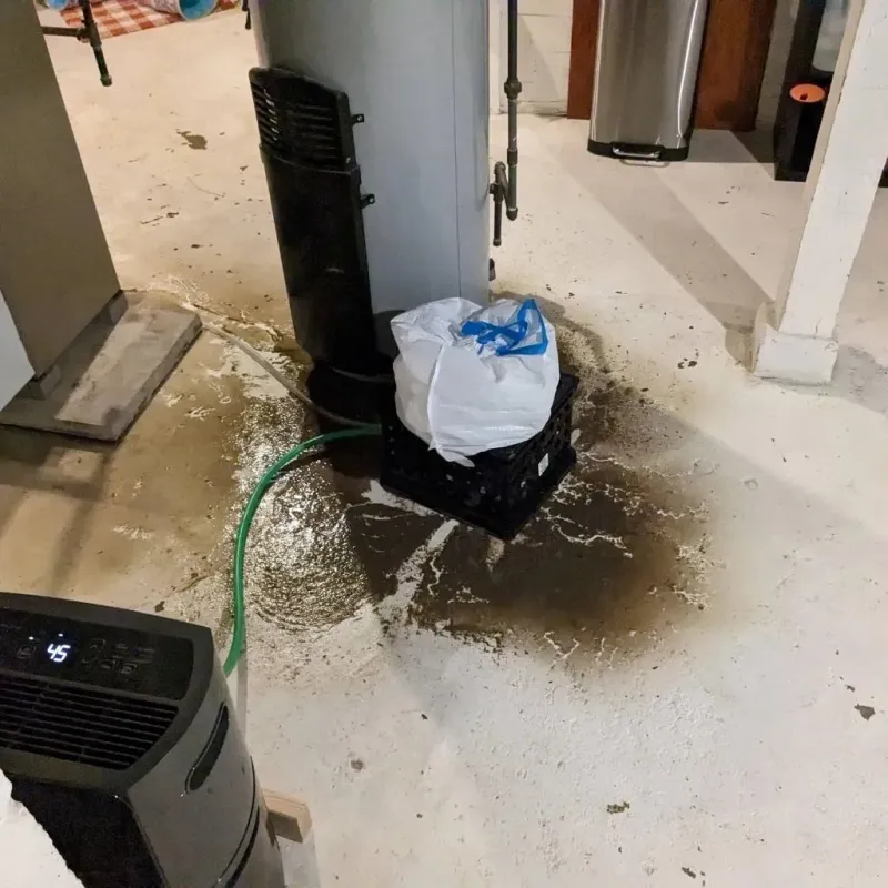 Sewage Backup Cleanup Service in Midway, TN